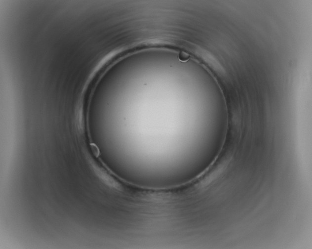 X0000113890934200909241414
