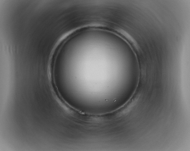 X0000113890935200909241414