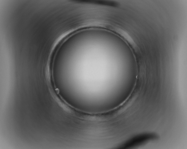 X0000113890936200909241414