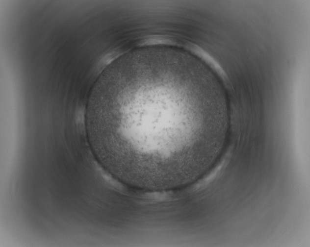 X0000113890937200909241414