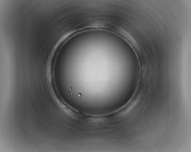 X0000113890939200909241414