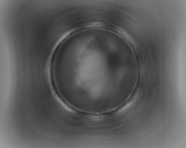 X0000113890941200909241414