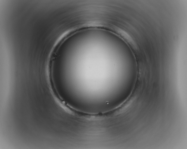 X0000113890942200909241414