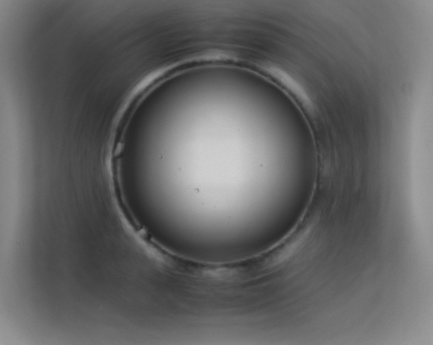 X0000113890943200909241414