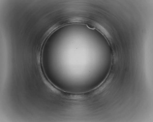 X0000113890946200909241414