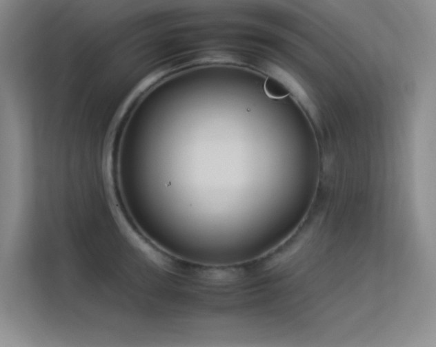 X0000113890947200909241414