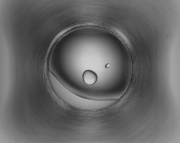 X0000113890948200909241414