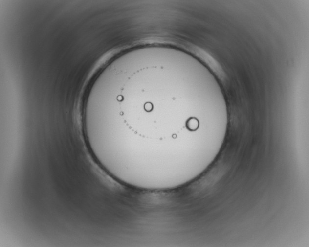 X0000113890950200909241414