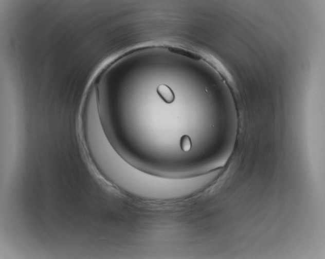 X0000113890952200909241414