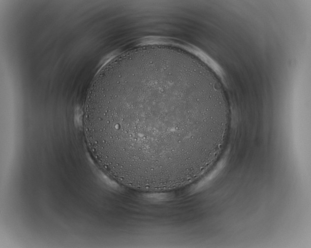 X0000113890953200909241414