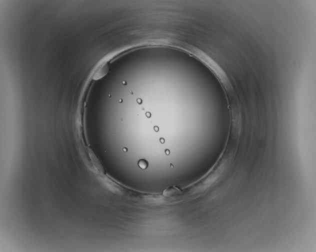 X0000113890956200909241414