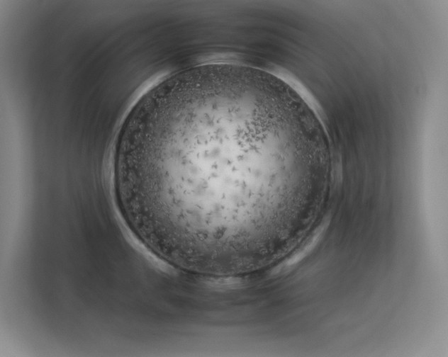 X0000113890957200909241414