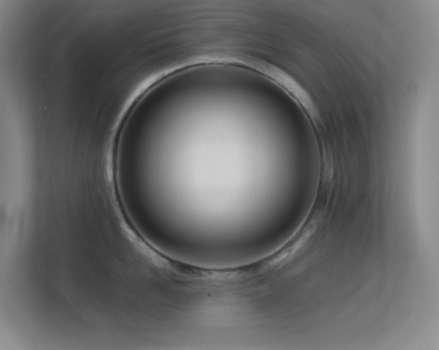 X0000113890958200909241414