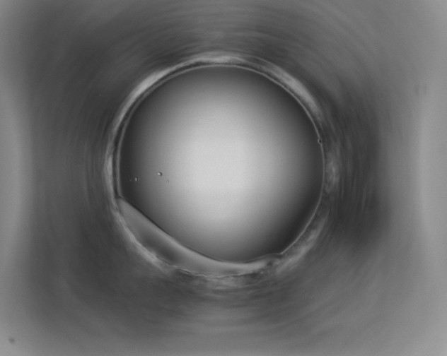 X0000113890959200909241414