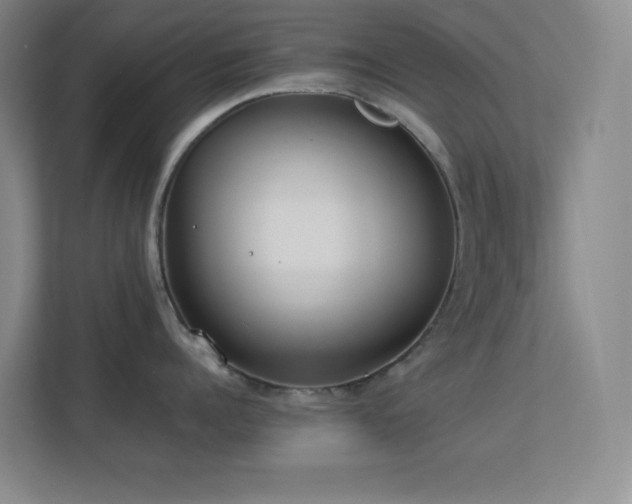 X0000113890960200909241414