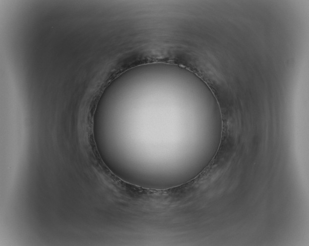 X0000113890961200909241414