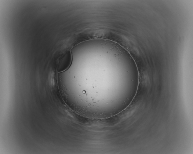 X0000113890962200909241414