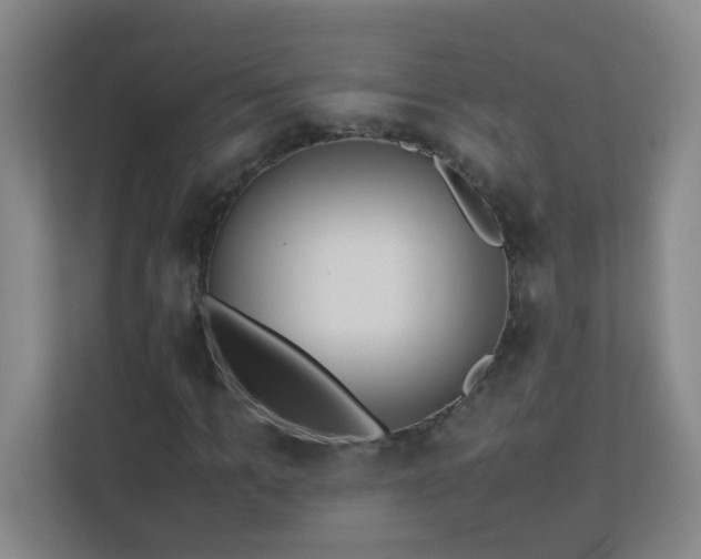 X0000113890965200909241414