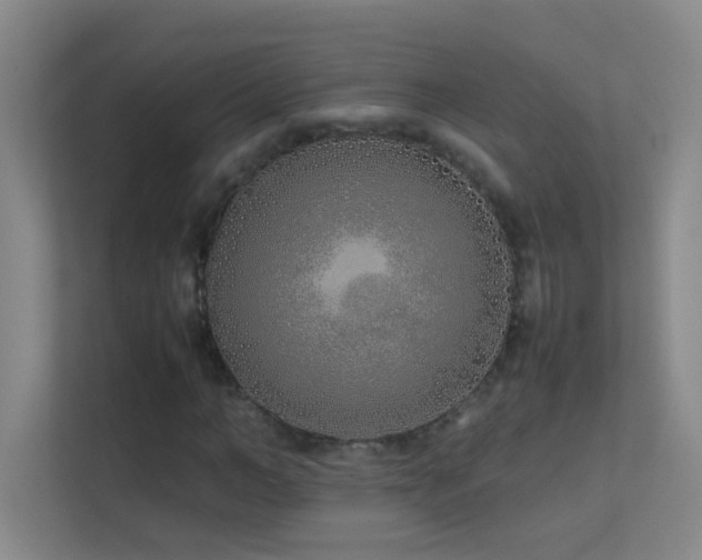 X0000113890966200909241414