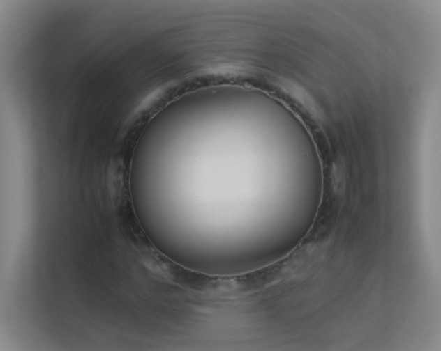 X0000113890968200909241414