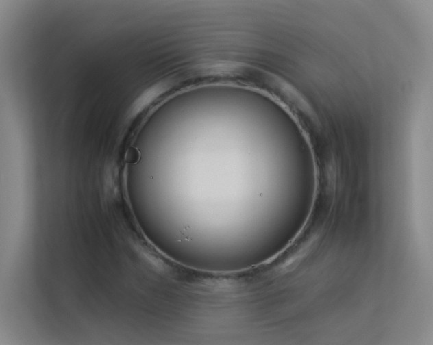 X0000113890970200909241414