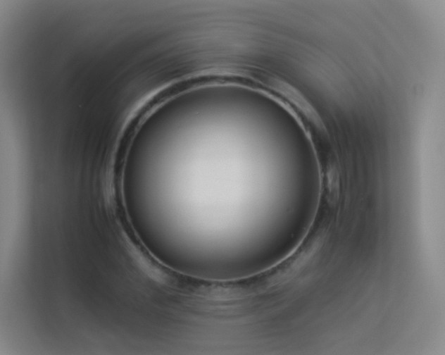 X0000113890972200909241414