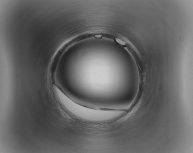 X0000113890973200909241414