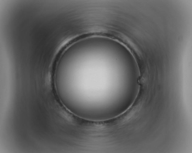 X0000113890975200909241414
