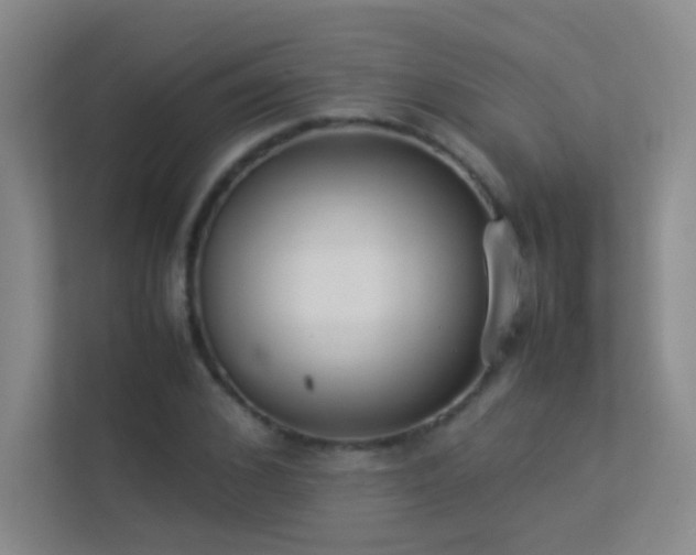 X0000113890976200909241414