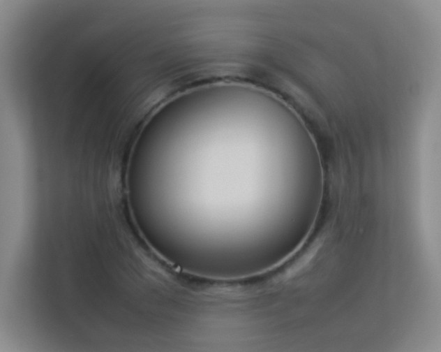 X0000113890977200909241414