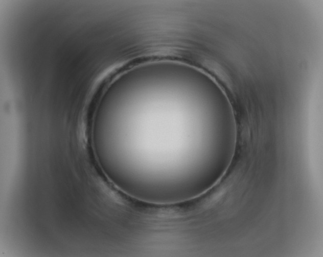X0000113890979200909241414