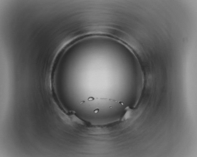X0000113890980200909241414