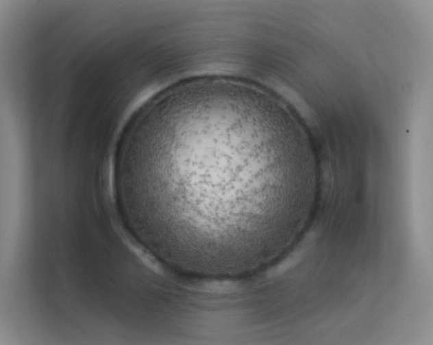 X0000113890982200909241413