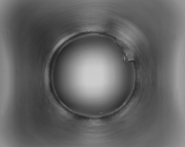 X0000113890983200909241413