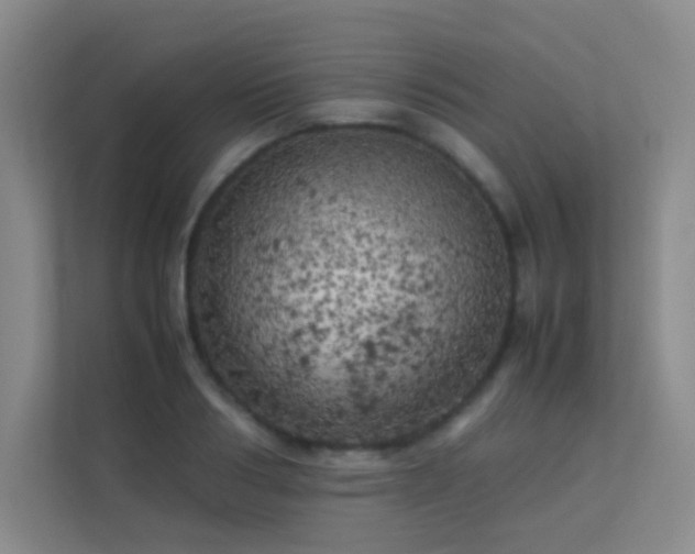 X0000113890986200909241413