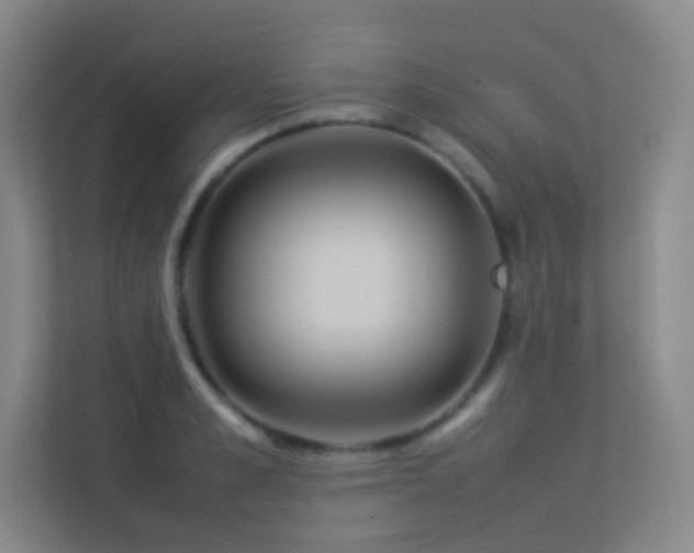 X0000113890989200909241413