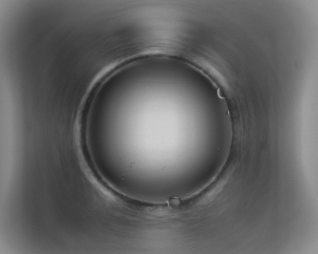 X0000113890991200909241413