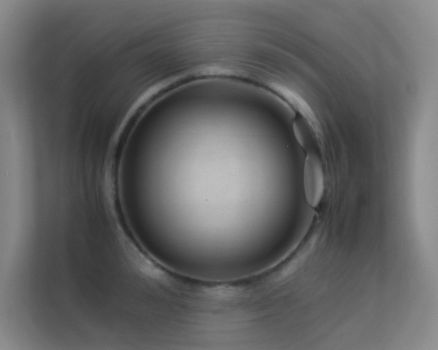 X0000113890992200909241413