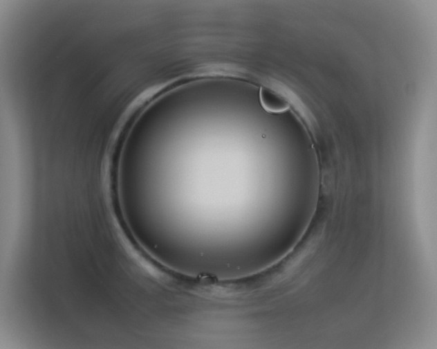 X0000113890995200909241413