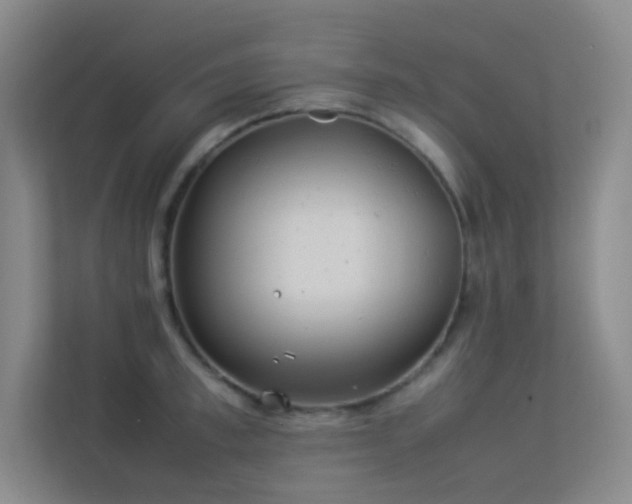 X0000113890997200909241413