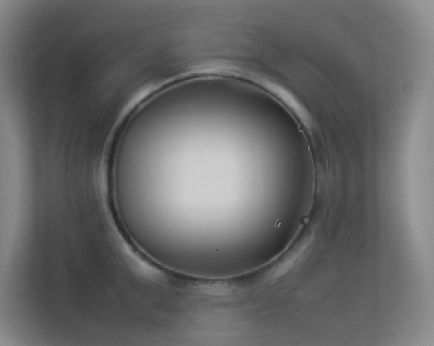 X0000113890999200909241413