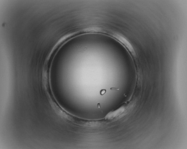 X0000113891000200909241413