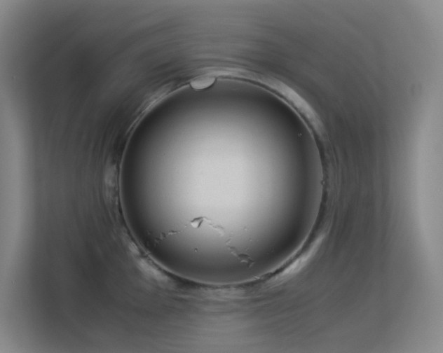 X0000113891001200909241413