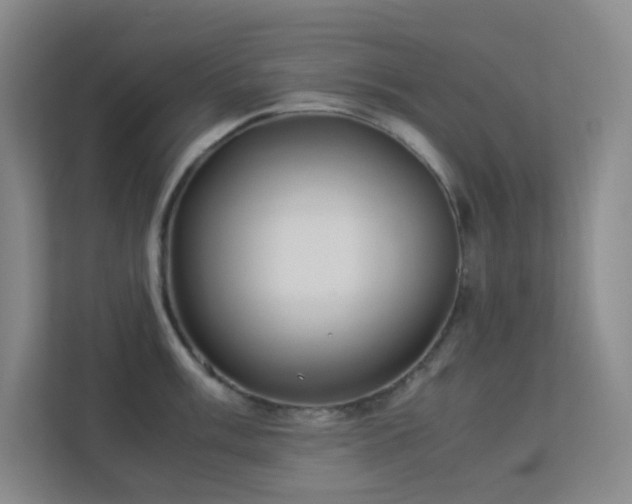 X0000113891003200909241413