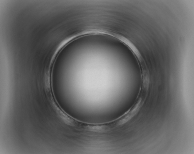 X0000113891004200909241413
