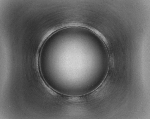X0000113891006200909241413