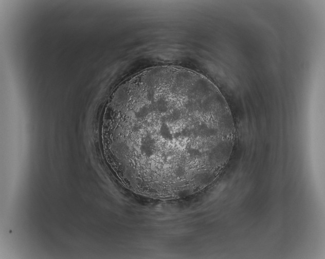 X0000113891009200909241412