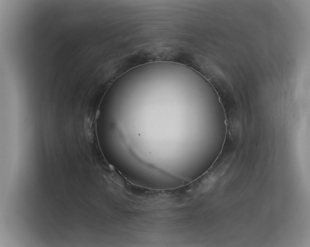 X0000113891010200909241412