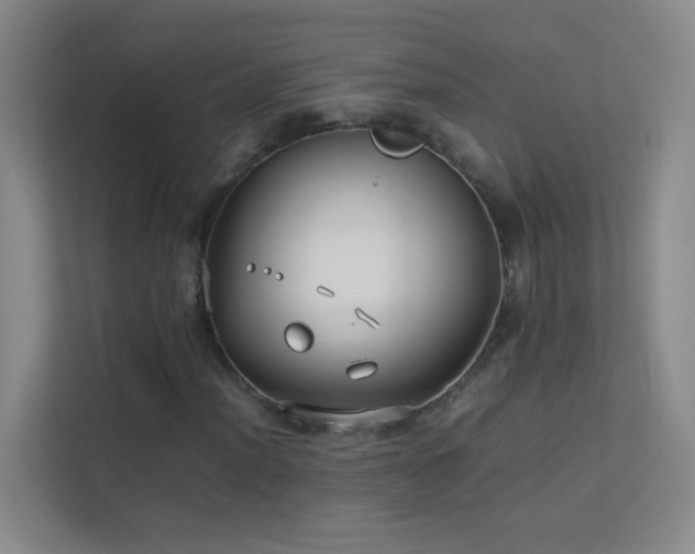 X0000113891012200909241412