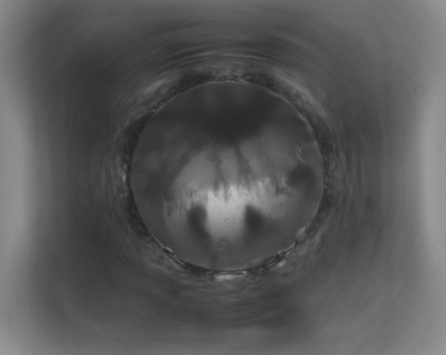 X0000113891013200909241412